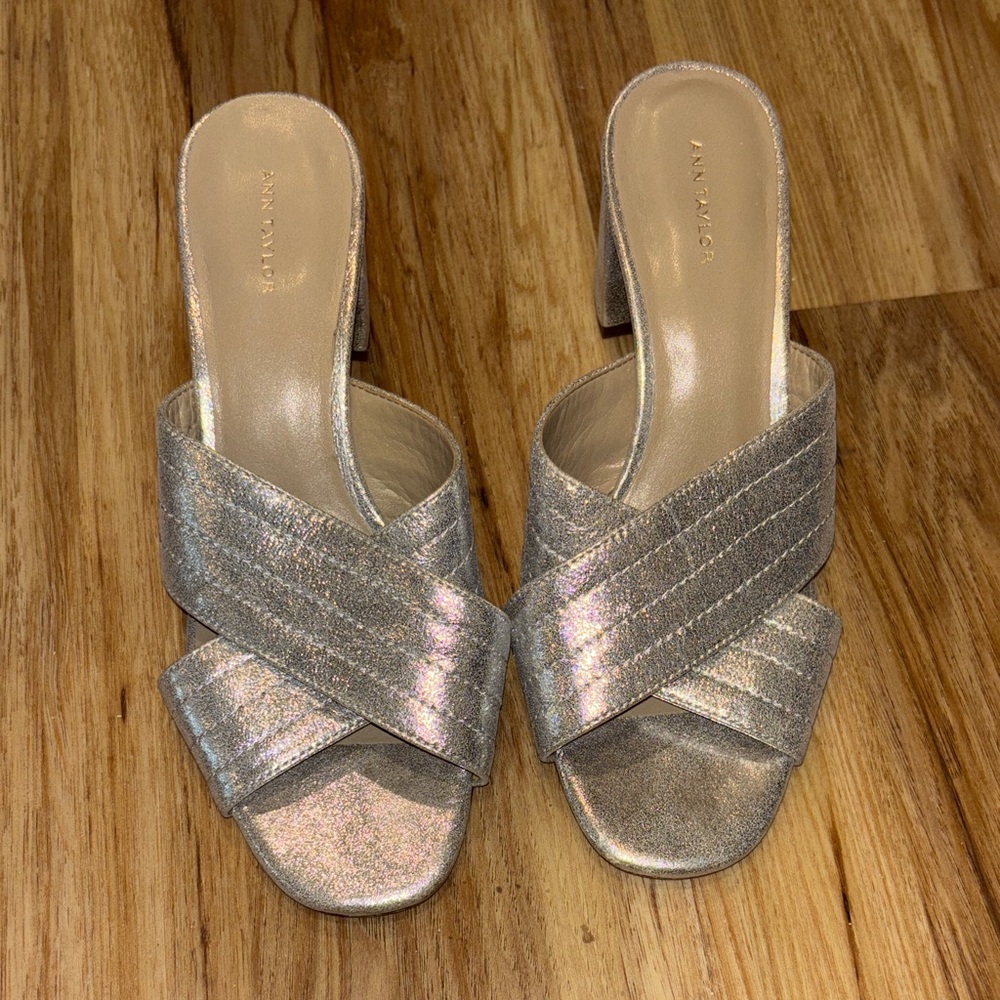 Ann Taylor Silver Sandals